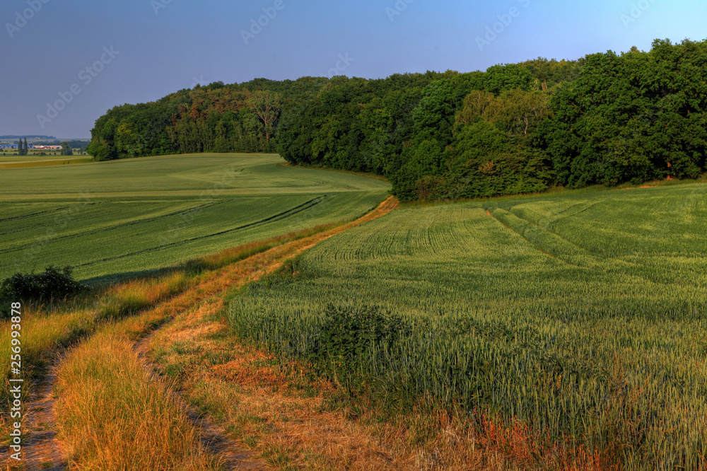 Landschaft