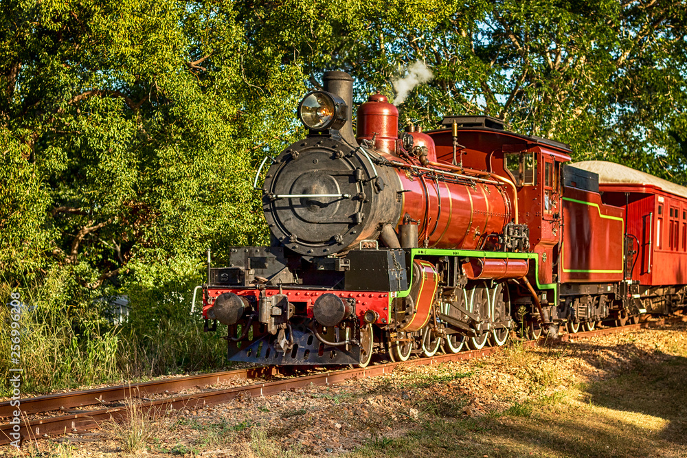 Naklejka premium Mary Valley Rattler