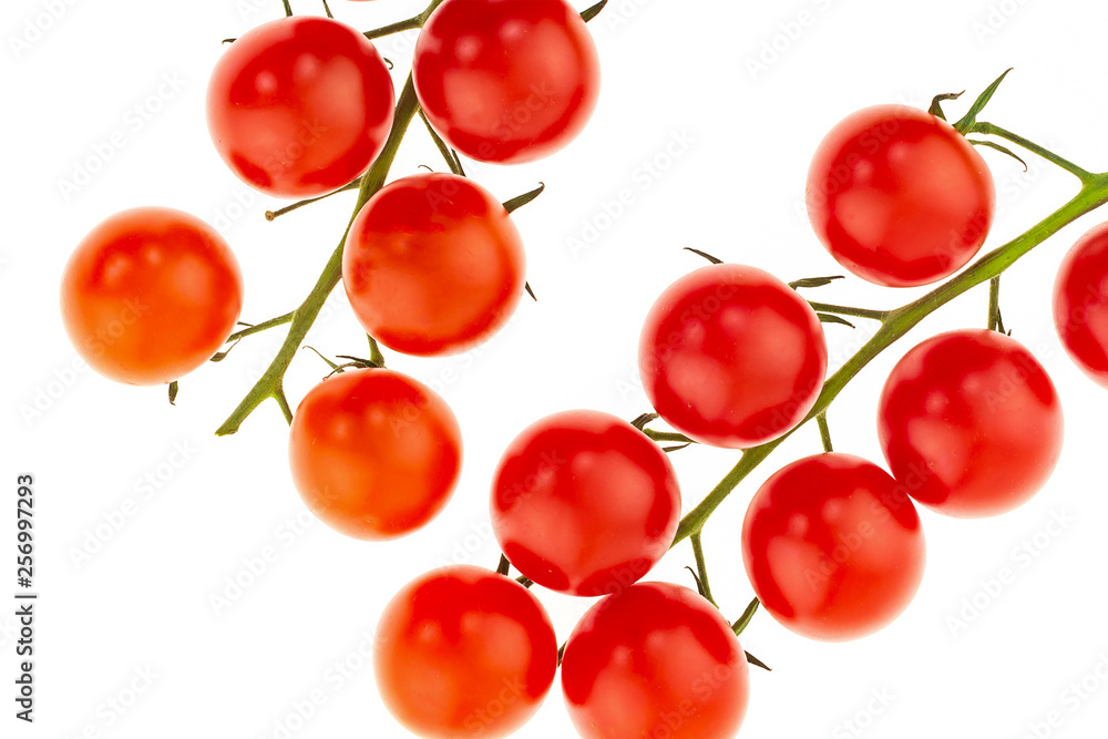 Fototapeta premium ripe tomatoes red cherry on a green branch bright vegetables on a white background close-up