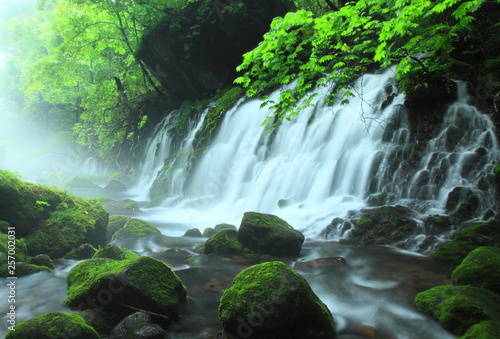 夏の滝