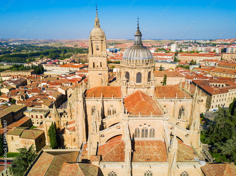 Salamanca Cathedral in Salamanca, Spain