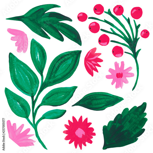Collection Bright red pink flower green leaves berry branch on white isolated background Hand painted with acrylic and gouache Botanical floral set photo