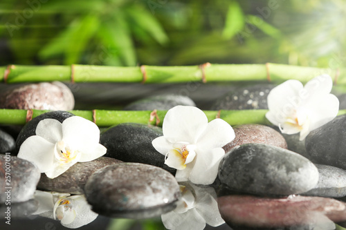 Spa stones with flowers and bamboo branches in water © New Africa
