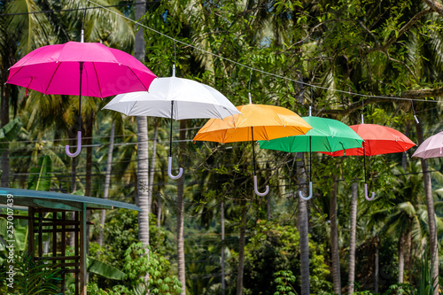 Street decorated with colored umbrellas, island Koh Phangan, Thailand