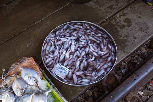 Calamars encornets au marché asiatique poisson photo