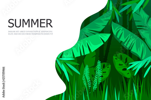 Tropical cartoon forest. Jungle. Template for web banner, landing page, card, background. Vector illustration