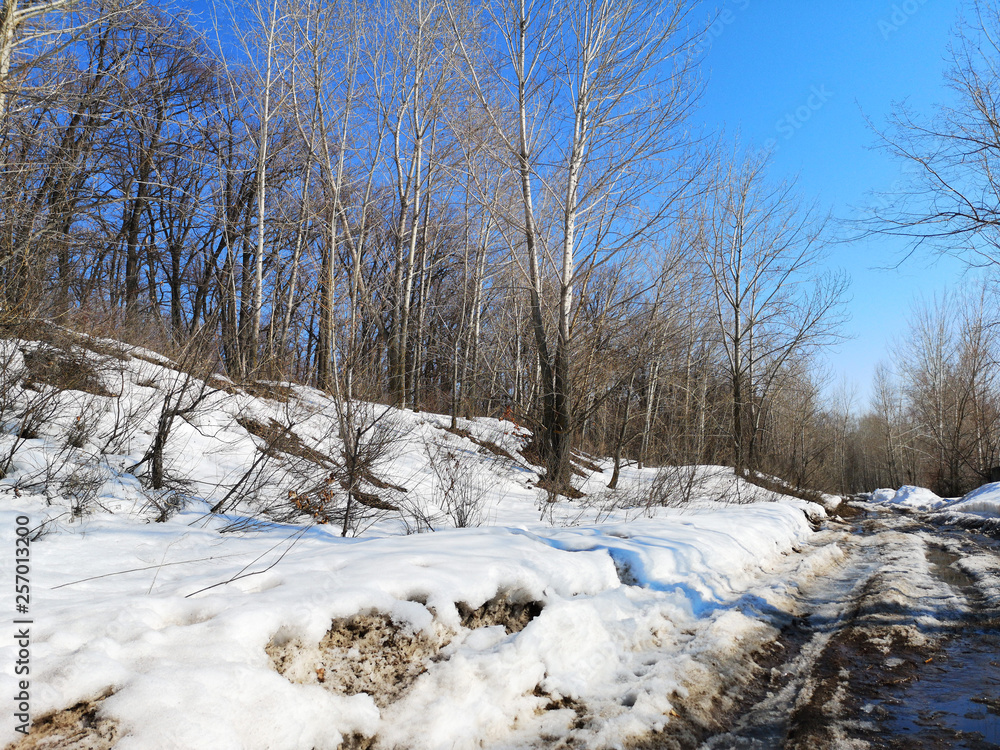 Melting snow on the road in the Russian landscape early spring Melting snow on the road in the Russian landscape early spring