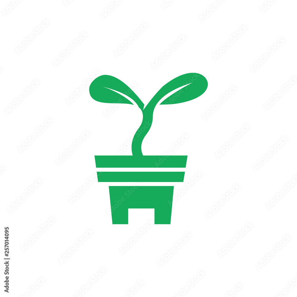 Obraz premium plants in pots