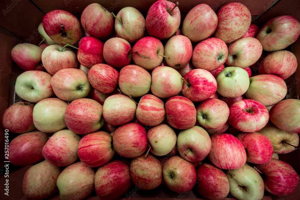 A large number of apples in a cardboard box. Texture (plural, crop, sales, choice - concept) A large number of apples in a cardboard box. Texture (plural, crop, sales, choice - concept)