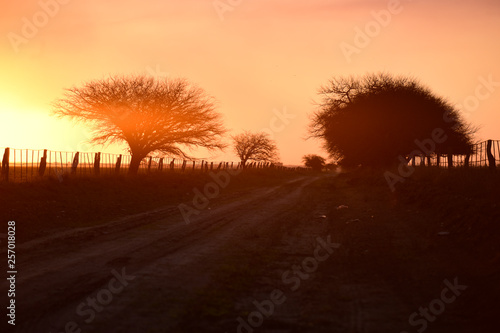 Rural sunset landscape, Buenos Aires province , Argentina photo