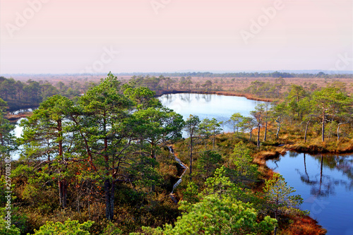 Foggy bog landscape with pink sky in Estonia at Marimetsa area