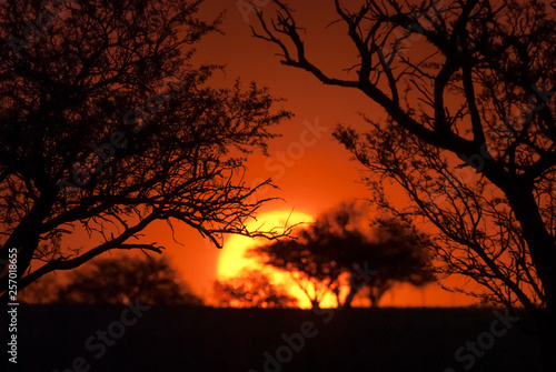 Rural sunset landscape  Buenos Aires province   Argentina