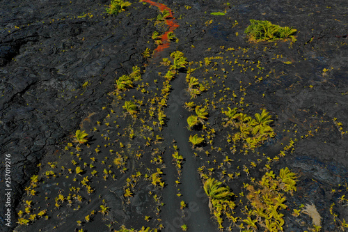 Lava auf Hawaii aus der Luft - Luftbilder von Big Island