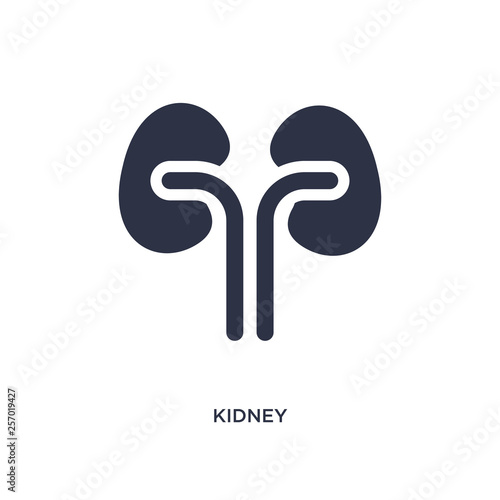 kidney icon on white background. Simple element illustration from medical concept.