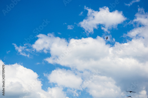 beautiful background bright blue sky with white clouds