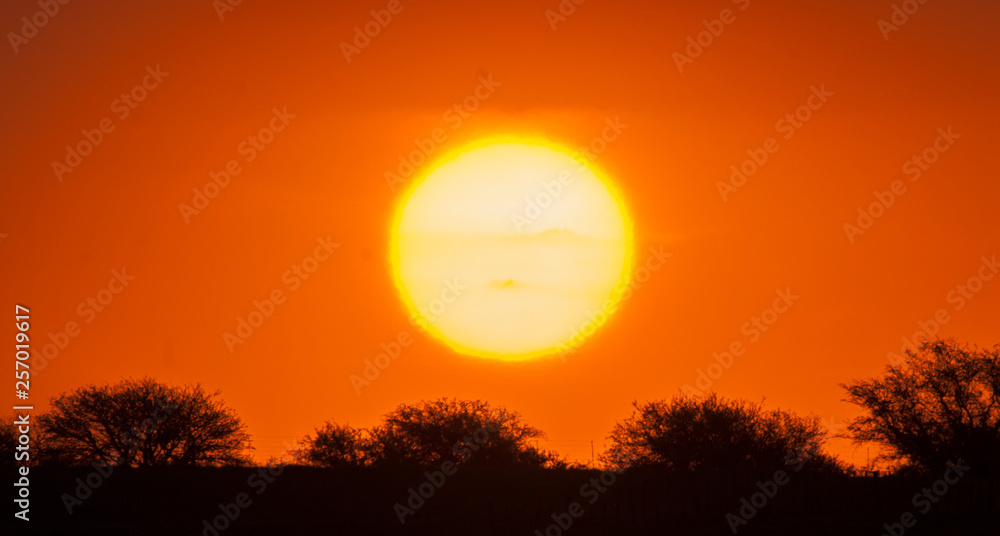 Fototapeta premium Rural sunset landscape, Buenos Aires province , Argentina