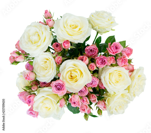 Pink and white blooming roses