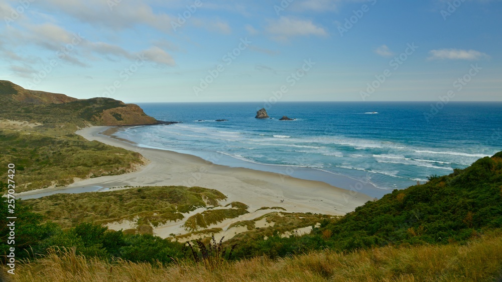 Sandfly beach, New Zealand