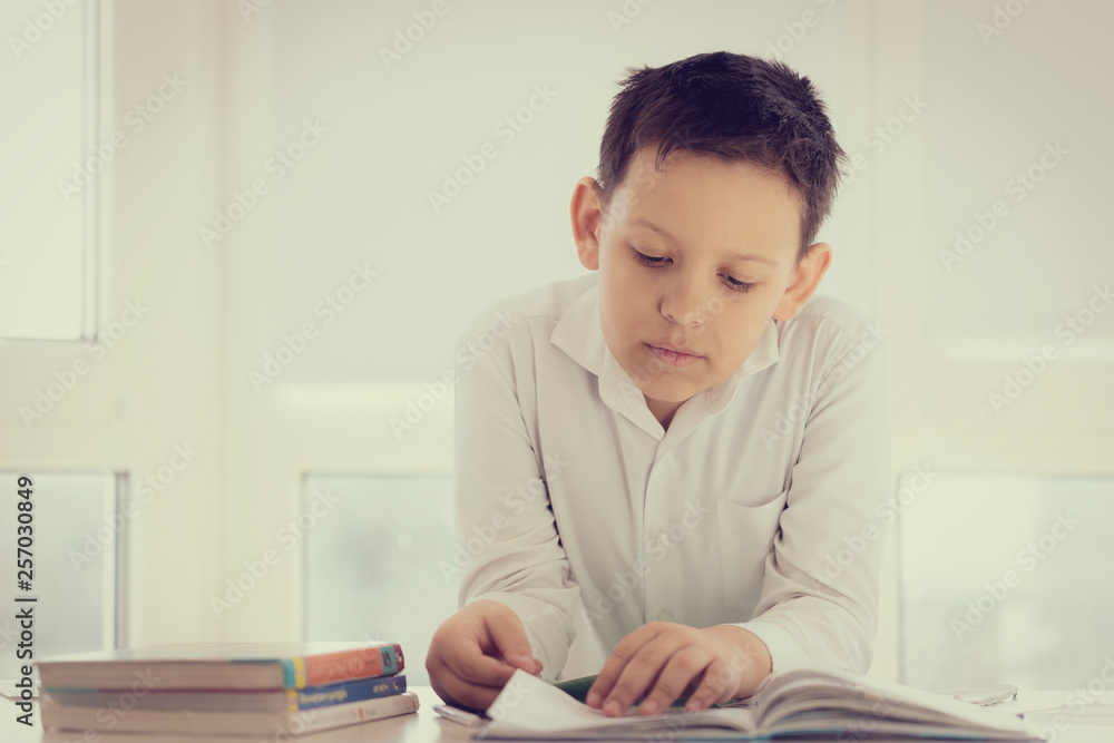 schoolchild reading a textbook or notebook.portrait of young boy studying against white background schoolchild reading a textbook or notebook.portrait of young boy studying against white background