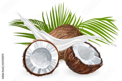 Coconut with milk splash. Fruit and yogurt. Natural fruit.