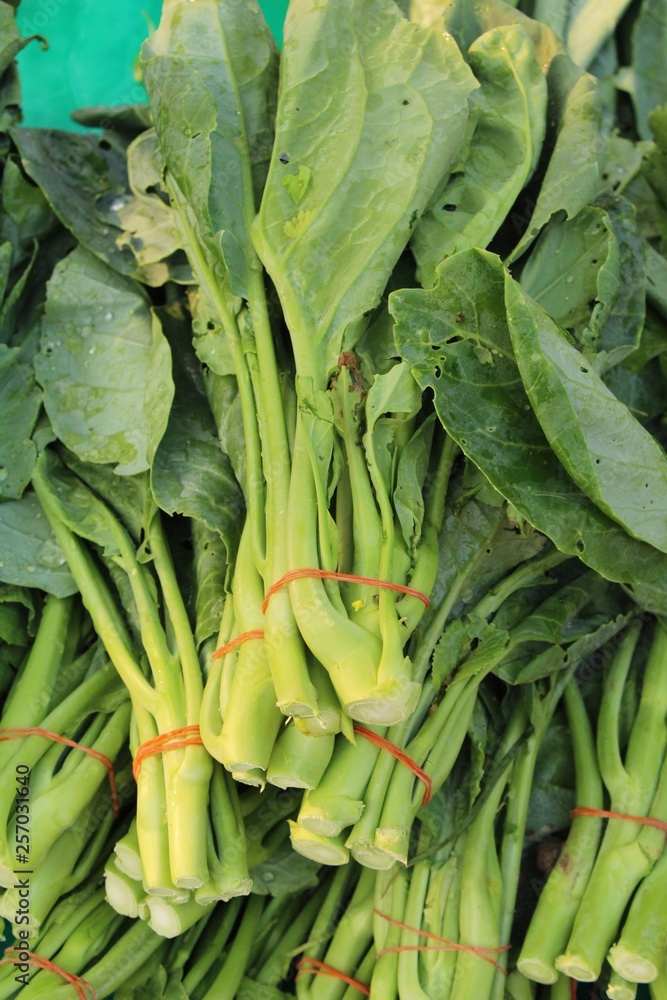 chinese kale for cooking at street food chinese kale for cooking at street food
