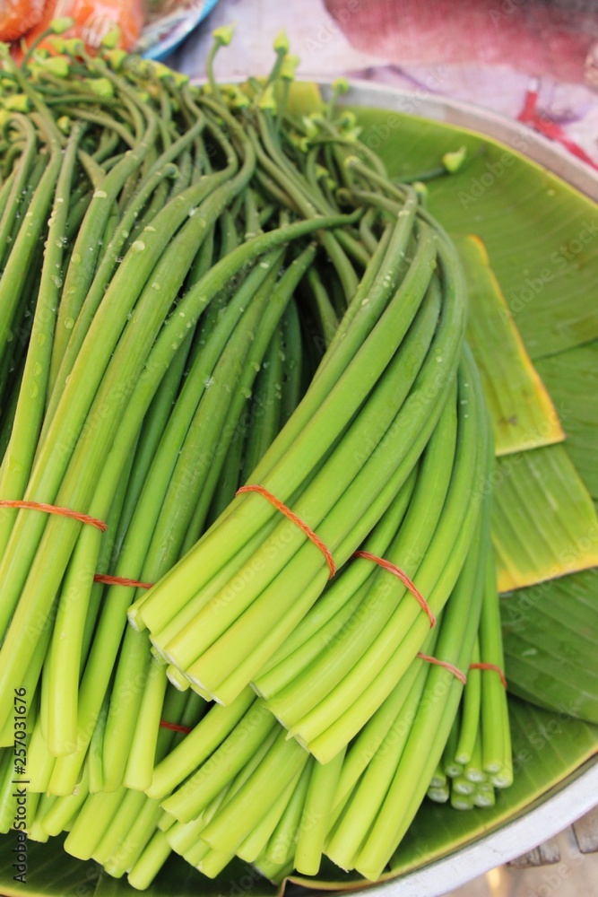 Obraz premium Onion flower stem for cooking in market