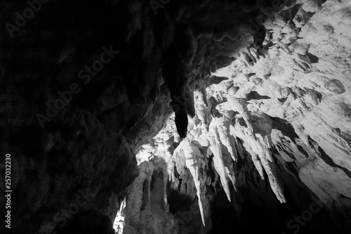 Ruakuri Cave, North Island, New Zeland photo