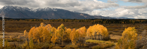Fall color in Jackson Hole; Grand Teton NP; Wyoming