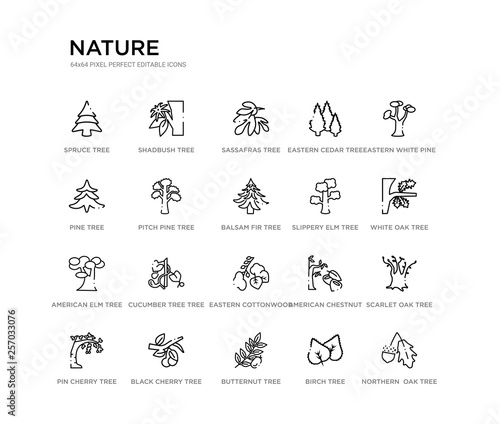 set of 20 line icons such as eastern cottonwood tree, cucumber tree tree, american elm slippery elm balsam fir pitch pine pine eastern cedar sassafras shadbush nature outline thin icons collection.
