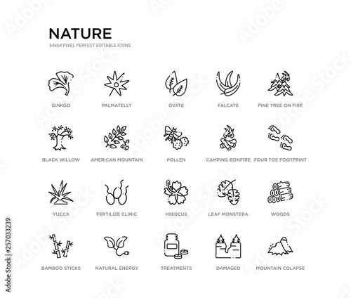 set of 20 line icons such as hibiscus, fertilize clinic, yucca, camping bonfire, pollen, american mountain ash, black willow, falcate, ovate, palmatelly. nature outline thin icons collection.