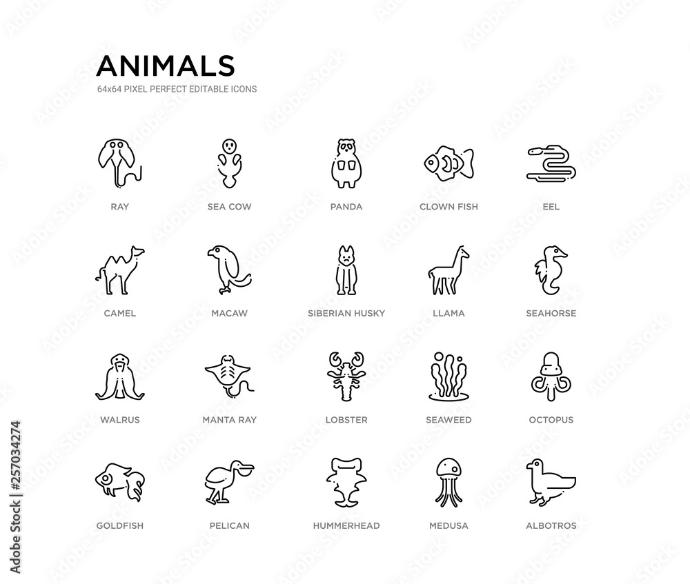 set of 20 line icons such as lobster, manta ray, walrus, llama, siberian husky, macaw, camel, clown fish, panda, sea cow. animals outline thin icons collection. editable 64x64 stroke