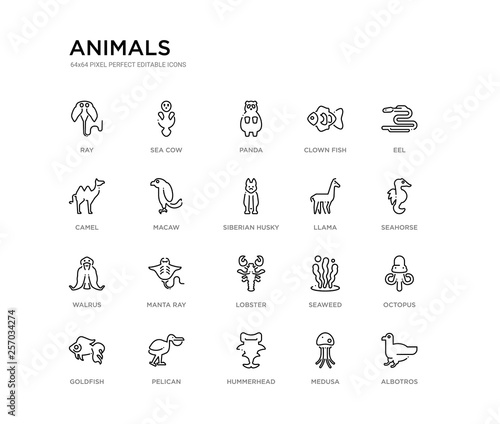 set of 20 line icons such as lobster  manta ray  walrus  llama  siberian husky  macaw  camel  clown fish  panda  sea cow. animals outline thin icons collection. editable 64x64 stroke