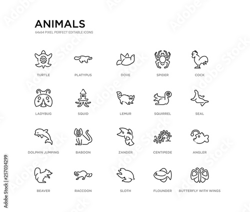 set of 20 line icons such as zander  baboon  dolphin jumping  squirrel  lemur  squid  ladybug  spider  dove  platypus. animals outline thin icons collection. editable 64x64 stroke