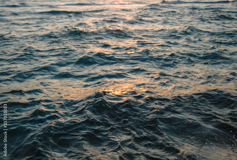Water Ripple Texture Water Ripple Texture