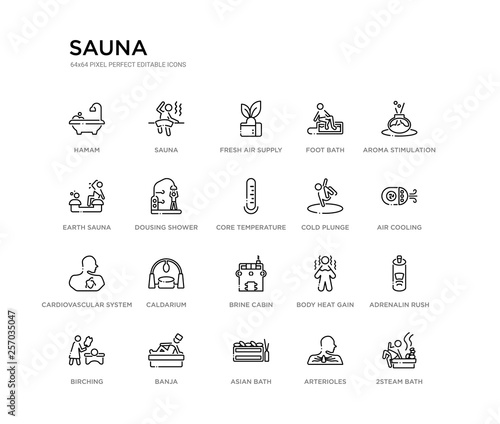 set of 20 line icons such as brine cabin, caldarium, cardiovascular system, cold plunge, core temperature, dousing shower, earth sauna, foot bath, fresh air supply, sauna. sauna outline thin icons