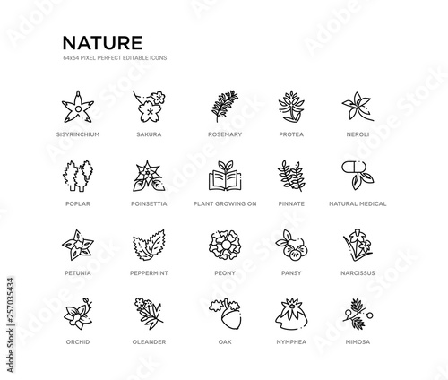set of 20 line icons such as peony, peppermint, petunia, pinnate, plant growing on book, poinsettia, poplar, protea, rosemary, sakura. nature outline thin icons collection. editable 64x64 stroke