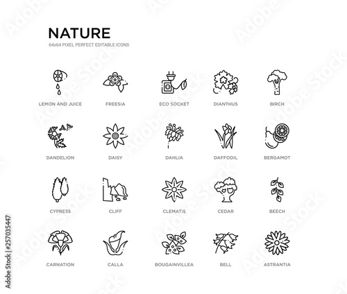 set of 20 line icons such as clematis, cliff, cypress, daffodil, dahlia, daisy, dandelion, dianthus, eco socket, freesia. nature outline thin icons collection. editable 64x64 stroke