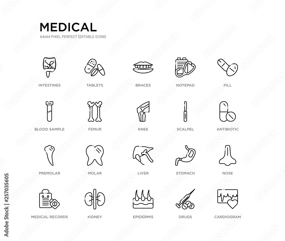set of 20 line icons such as liver, molar, premolar, scalpel, knee, femur, blood sample, notepad, braces, tablets. medical outline thin icons collection. editable 64x64 stroke set of 20 line icons such as liver, molar, premolar, scalpel, knee, femur, blood sample, notepad, braces, tablets. medical outline thin icons collection. editable 64x64 stroke