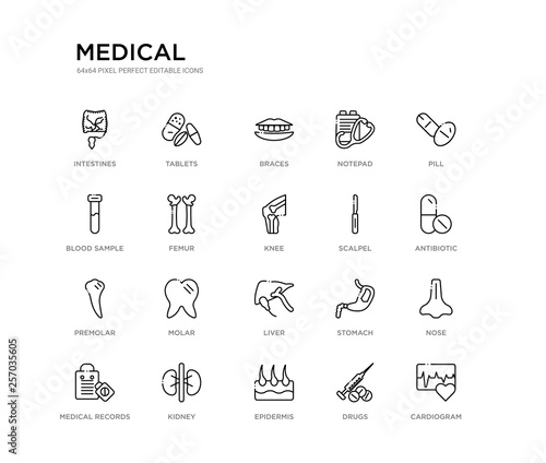 set of 20 line icons such as liver, molar, premolar, scalpel, knee, femur, blood sample, notepad, braces, tablets. medical outline thin icons collection. editable 64x64 stroke