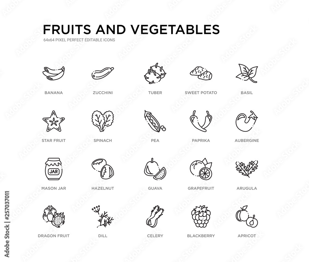 set of 20 line icons such as guava, hazelnut, mason jar, paprika, pea, spinach, star fruit, sweet potato, tuber, zucchini. fruits and vegetables outline thin icons collection. editable 64x64 stroke