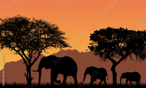 realistic illustration with silhouettes of three elephants - family in african safari landscape with trees, mountains under orange sky, vector