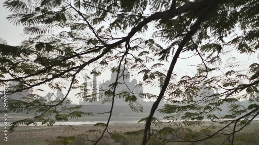 Taj Mahal behind the branches of trees. Video in motion. Taj Mahal behind the branches of trees. Video in motion.