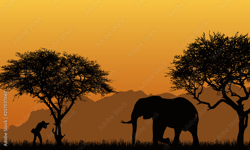 realistic illustration of a silhouette of a man photographer and elephant in an African safari with trees, mountains under an orange sky , vector