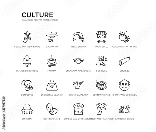 set of 20 line icons such as crema catalana, crocodile leather bag, dumplings, egg roll, ensalada malague?a, fabada, female bikini piece, food stall, fried shrimp, gazpacho. culture outline thin