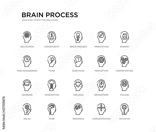 set of 20 line icons such as feelings, imagination, learning, perception, questions, think, time management, orientation, brain process, opportunity. brain process outline thin icons collection.