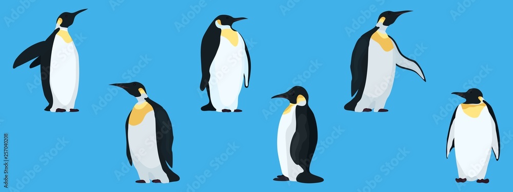 Fototapeta premium flat penguins on a blue background collection