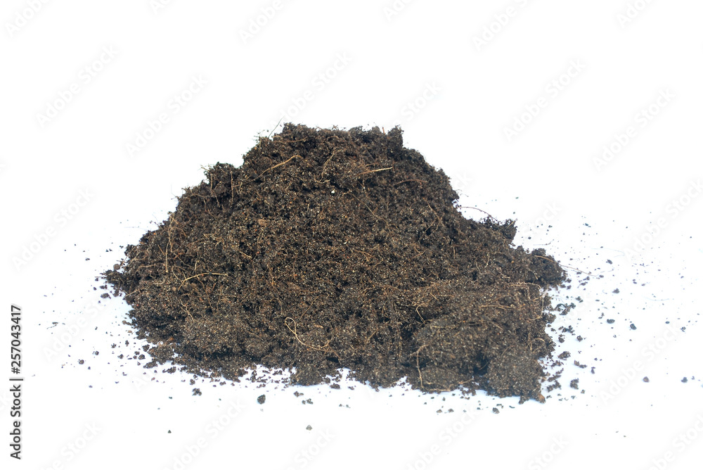 Good soil must be soil black.humus on white background. Good soil must be soil black.humus on white background.
