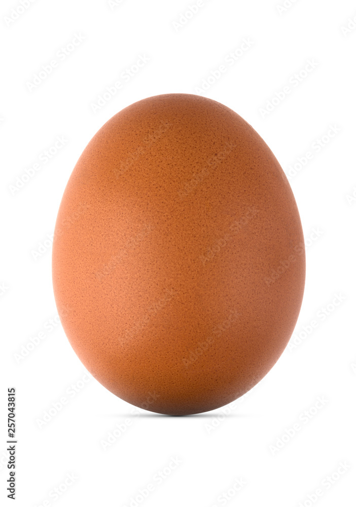 Egg on a white background. Chicken egg isolated on white background. Egg on a white background. Chicken egg isolated on white background.