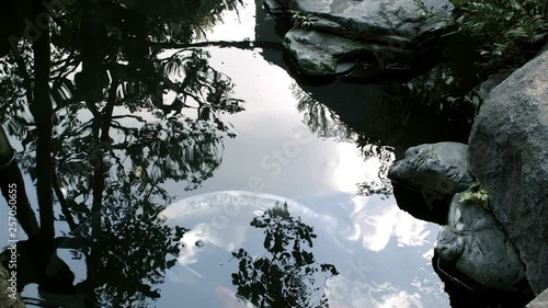 Home garden. A pond with beautiful fishes. A water stream and rocks natural and calm view. photo