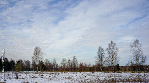 Wallpaper Mural spring river and forest Torontodigital.ca
